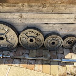 Weights with curl bar