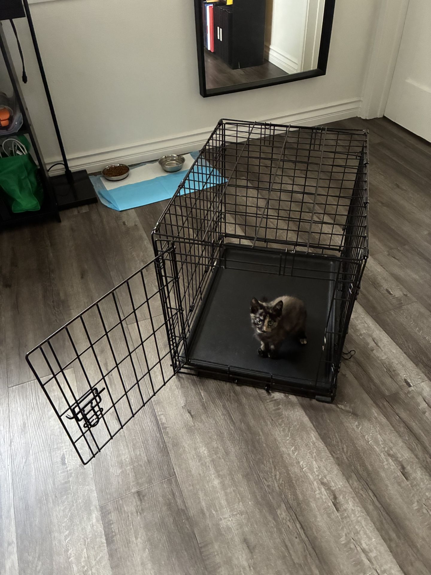 EveryYay 1-Door Folding Crate