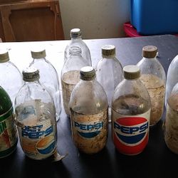 Soda Pop Bottles