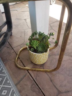 Succulent