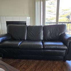 Black Leather Couch