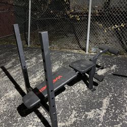 Bench/leg Extension/bicept Curl/hamstring Curl