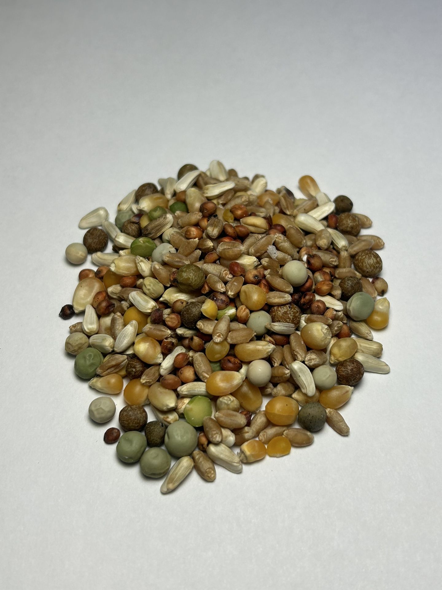 Pigeon Feed Portions For Pet Pigeons
