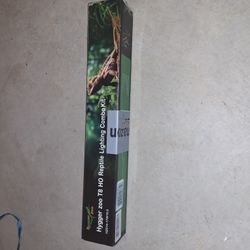 Lizard Light 