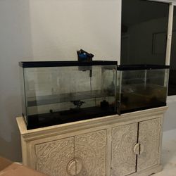 29 And 20 Gallon Tank NO FISH