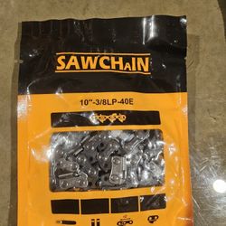 Saw Chain 10"