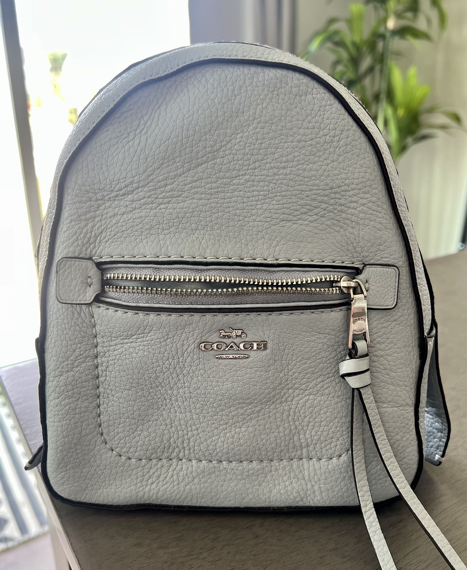 Coach Andi Mini Backpack