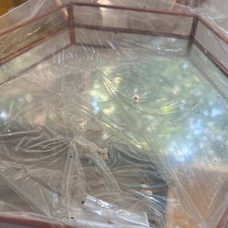 Mirror Trays