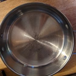 Wolfgang Puck 10 Inch Chicken Fryer Stainless Steel