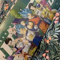 Primitive Dragon Ball Z $100