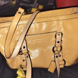Coach Bag/Purse