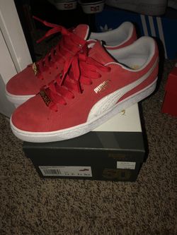 size 8.5 pumas