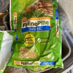 Cat Litter 