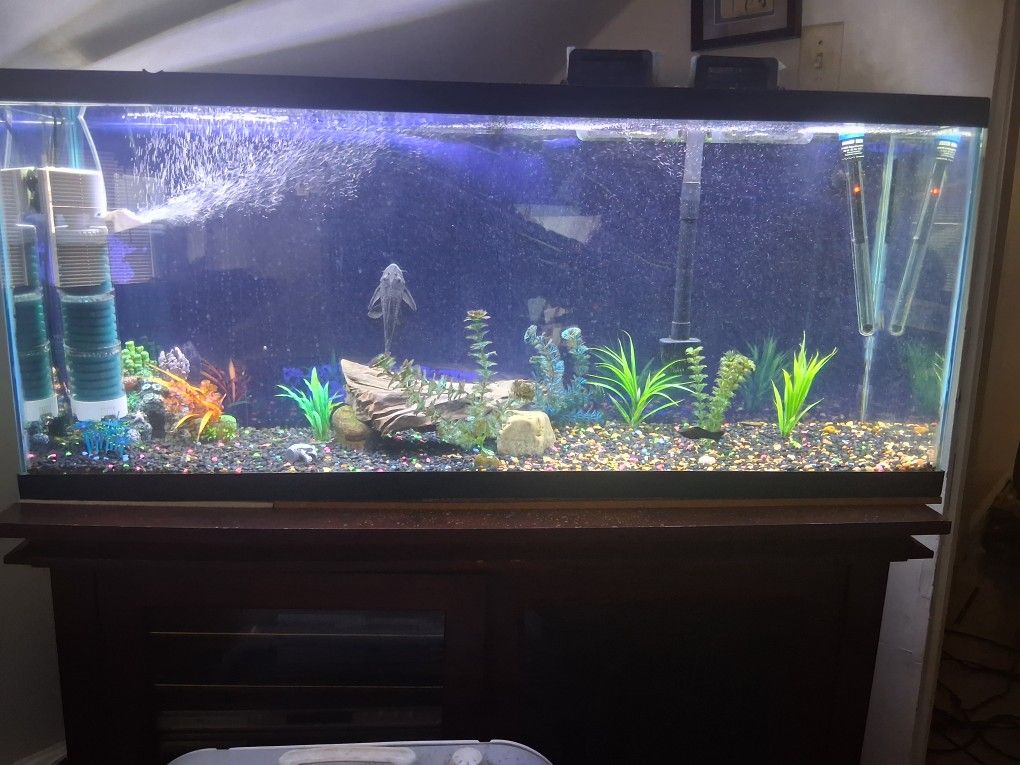 55 Gallon Tank With All Accessories.