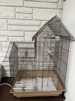 Bird Cage Including Everything You Can See