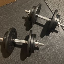 BRAND NEW Olympic Curl Bar With Cast Iron Weight Plates; 35#, 25#, 10#, 5 and 2.5#  (170 pounds)