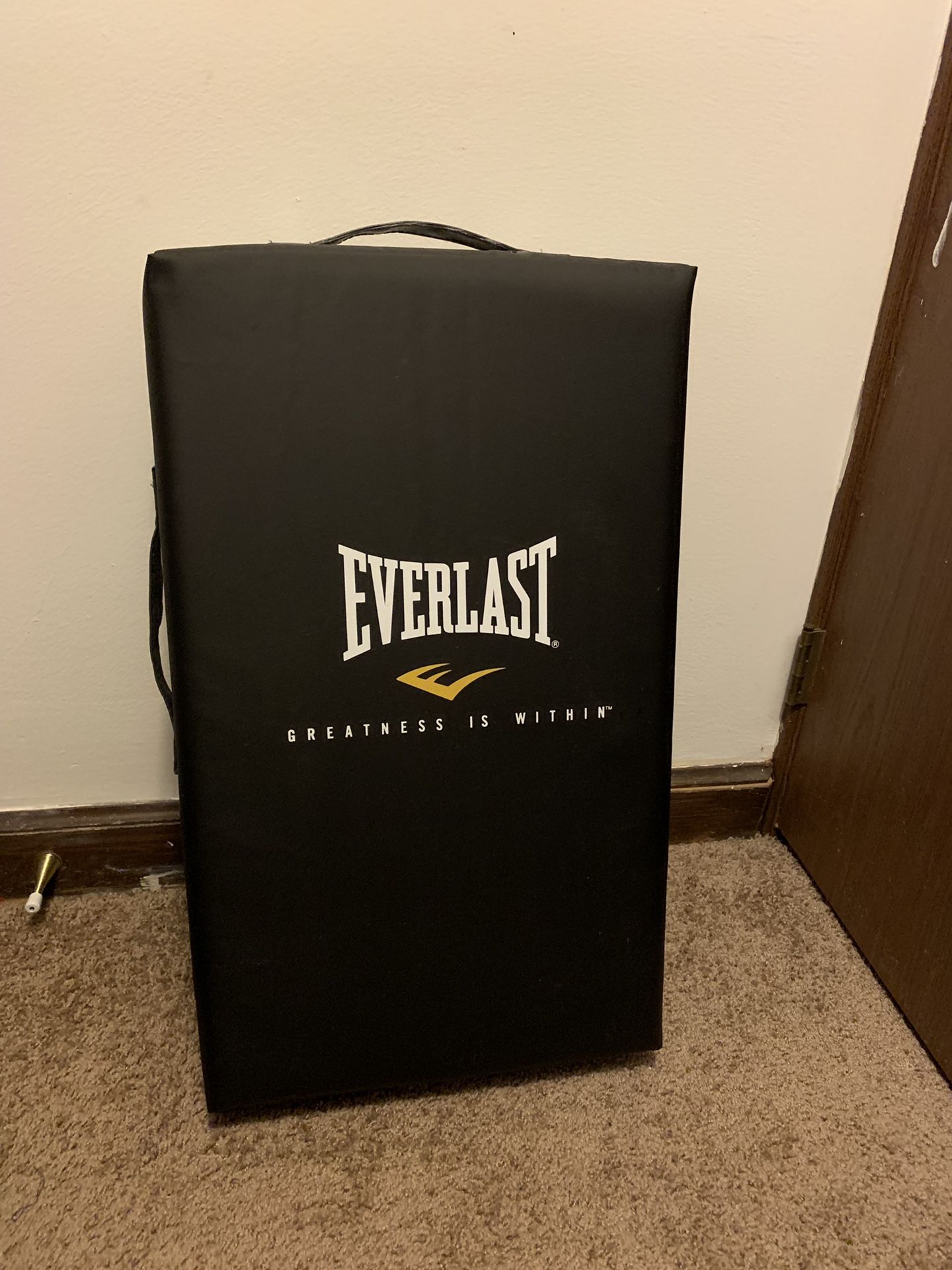 Everlast Punching bag / MMA strike shield