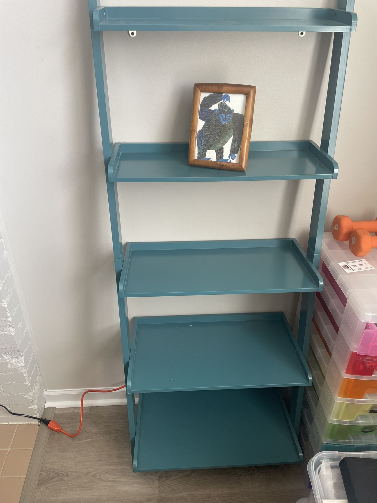 Must Go! Blue Ladder Bookshelf