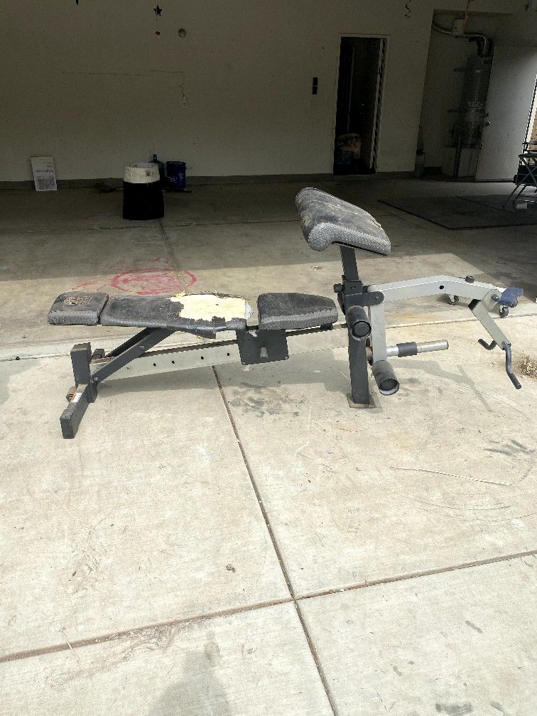 Free Weight Bench
