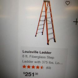 Louisville 8 Foot High Ladder.