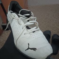 Puma Shoes 