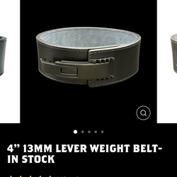 Pioneer Adjustable Lever Belt Gym