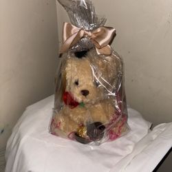 Small Graduation Teddy Bear 