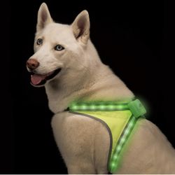 BLAZIN Safety Light Up Dog Harness - See Your Dog from 1000 Feet Away - USB Rechargeable, Waterproof, Lightweight, Adjustable - 8 LED Colors and 6 Fla