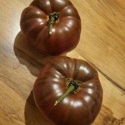 Organic Cherokee Purple Tomato Seeds! 2026 SEASON RELEASE! Available now!
