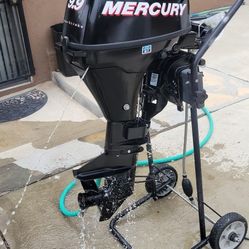 Mercury Outboard Motor 