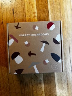 Wooden Mushroom Toys