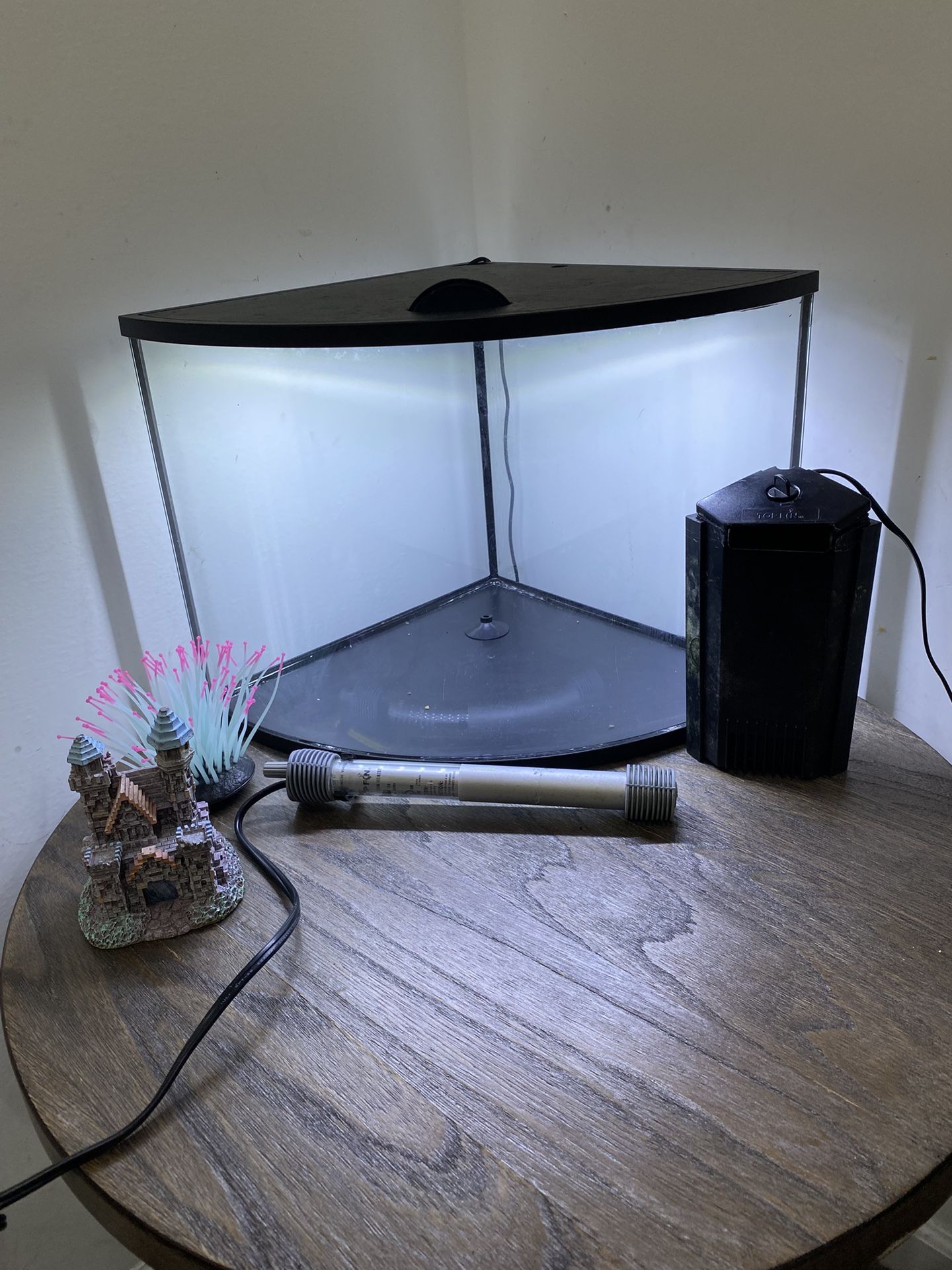 Gallon Fish Tank