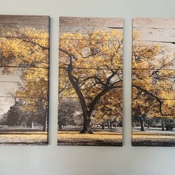 Set Of 3 Canvas Art  $15