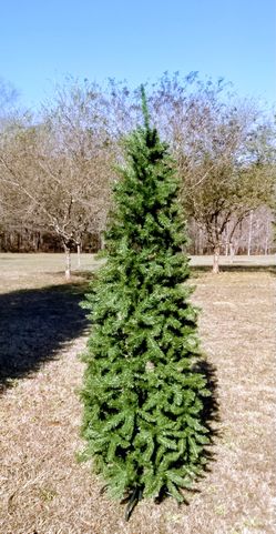 6.5' Christmas Tree