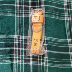 Sin City Pits Dog Collar 