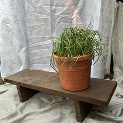 Plant Stand Shelf 