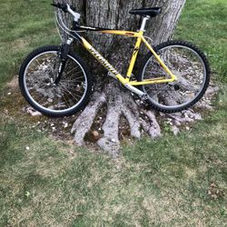 26” Specialized Mountain Bike (large Frame)