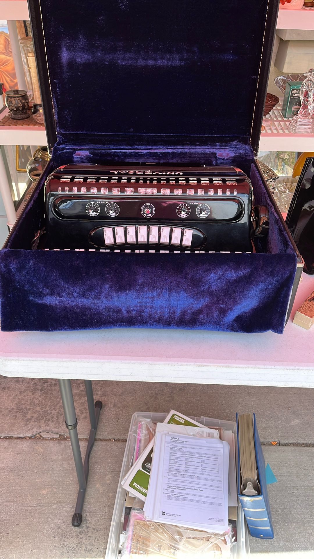 Beautiful Accordion