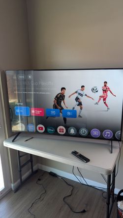 55 inch Sony TV