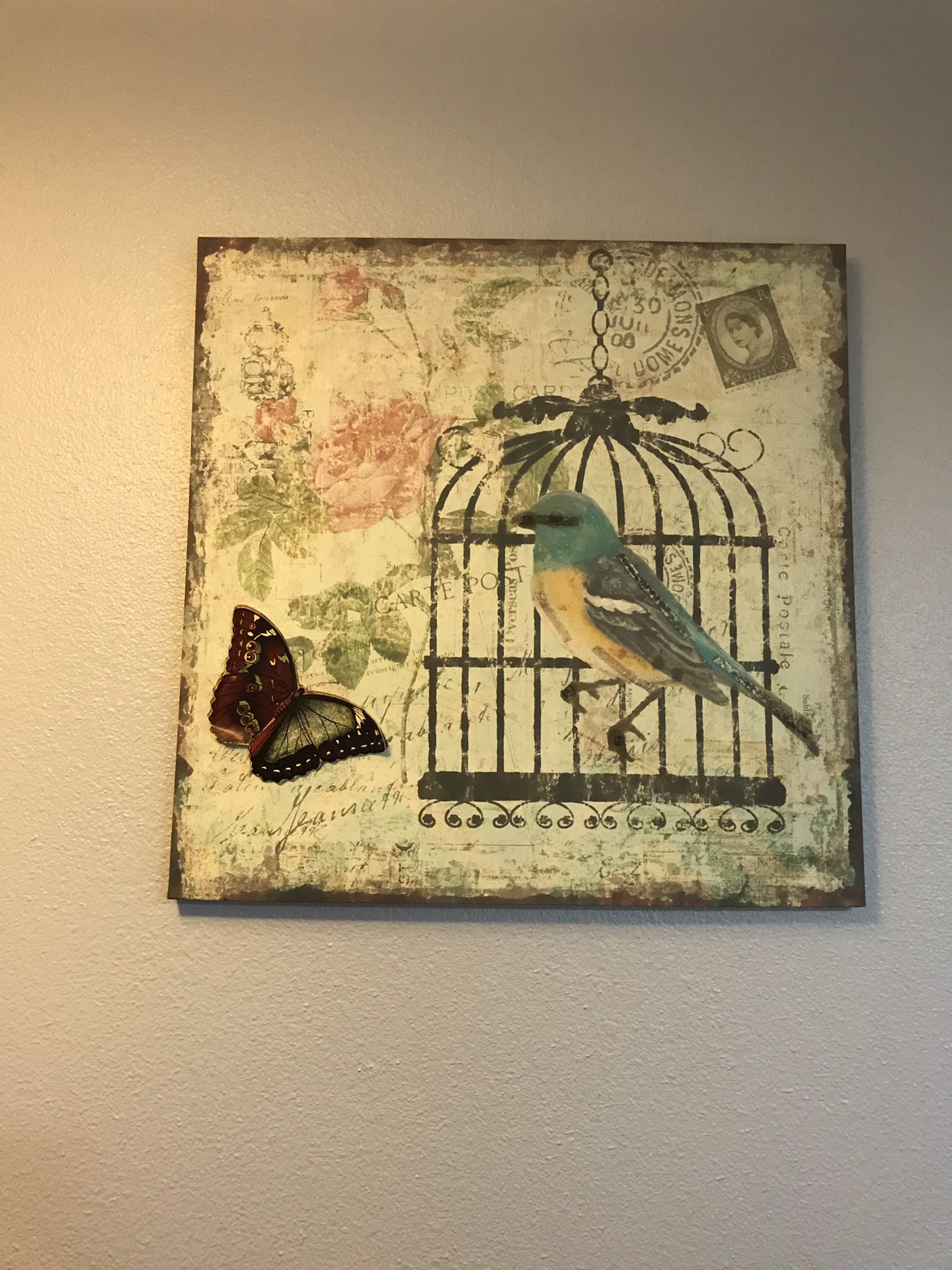 Bird cage canvas 23 1/2 X 23 1/2