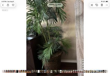 Artificial plant