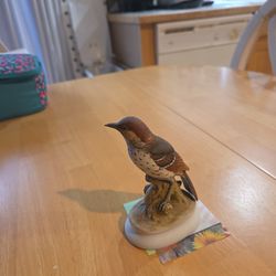 LEFTON KW1184,  BROWN THRASHER