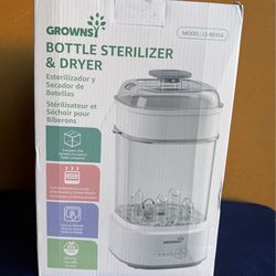 Electric steam sterilizer