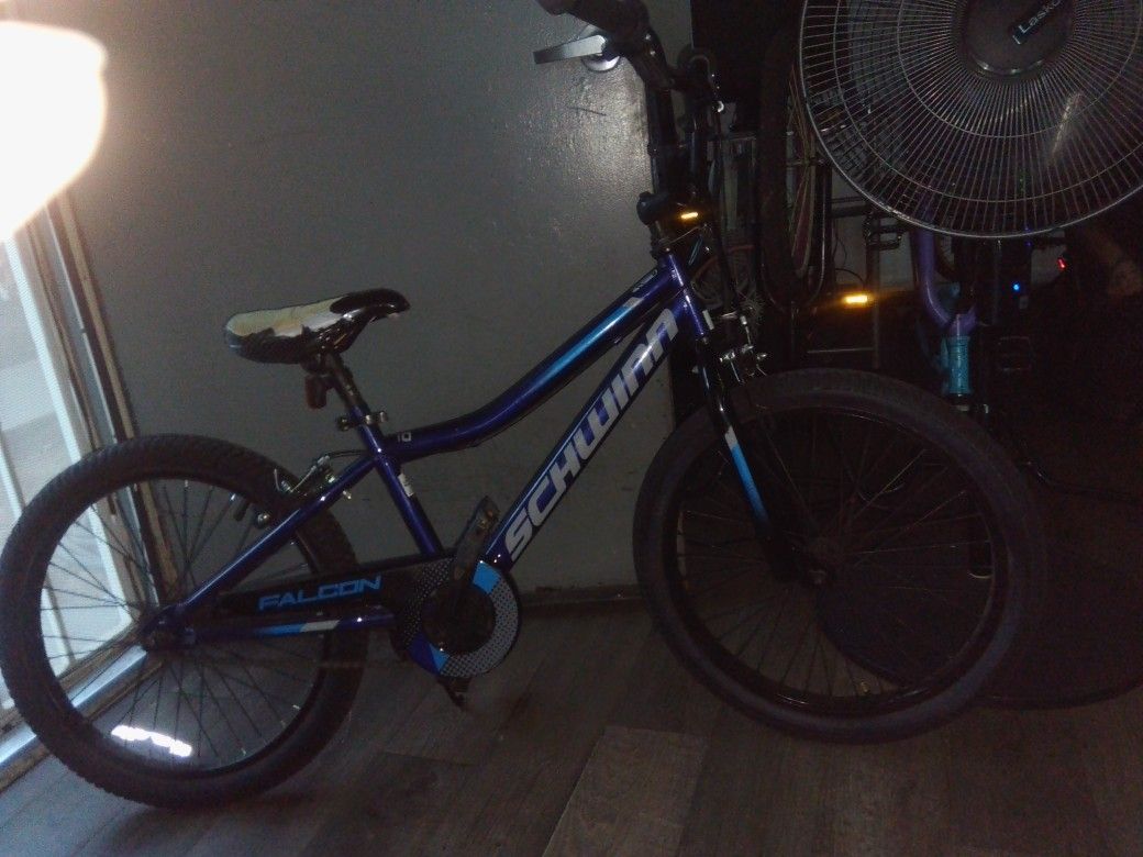 20inc Schwinn