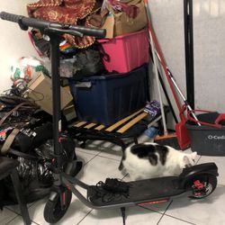 E Scooter 