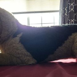 Large Dog Plush