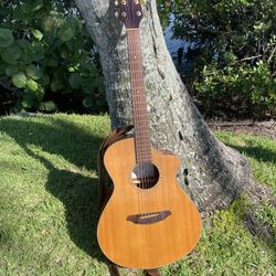 Breedlove acoustic 