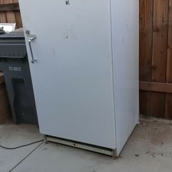 Upright Freezer 