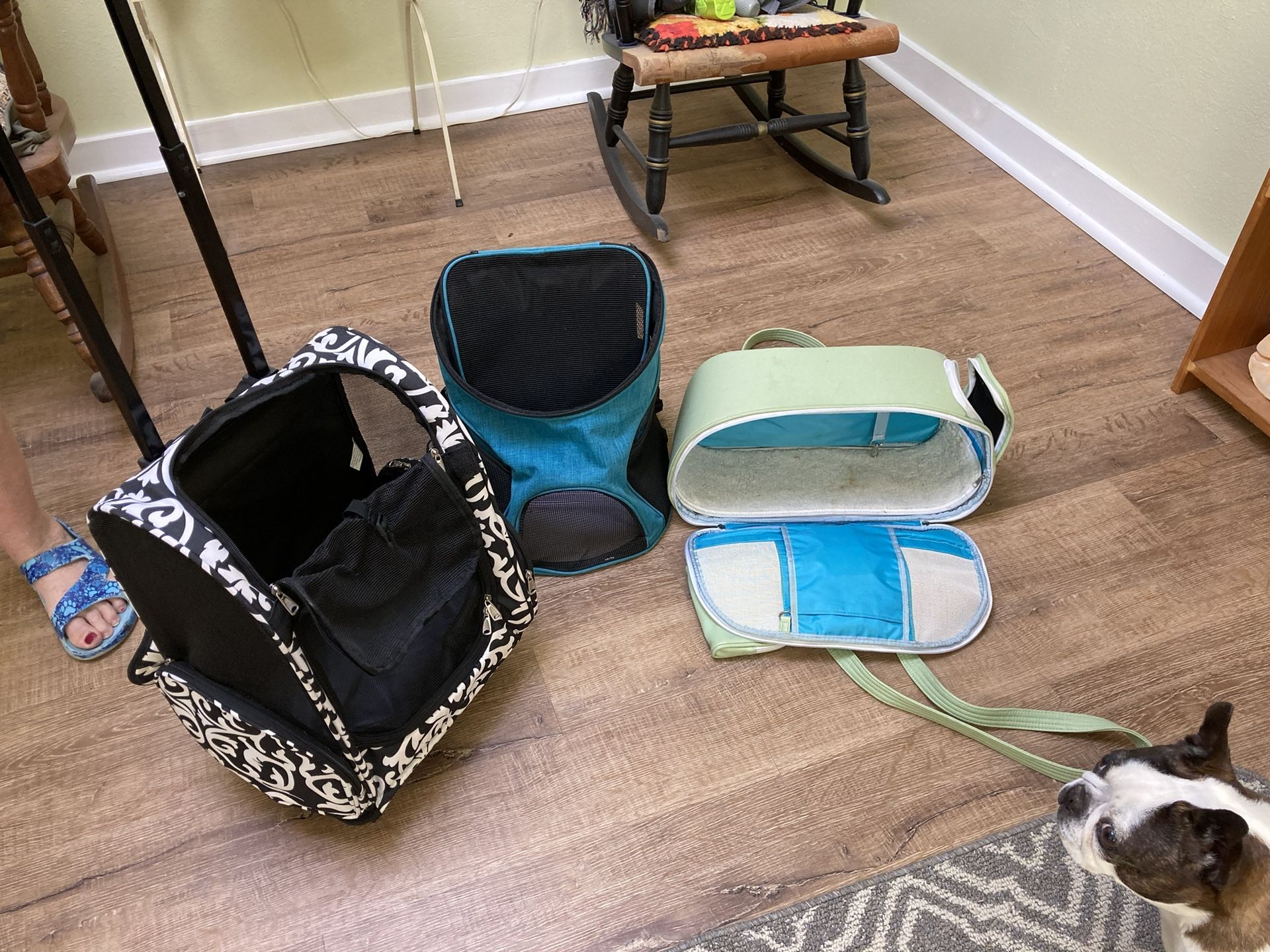 Small Dog Or Cat Carriers