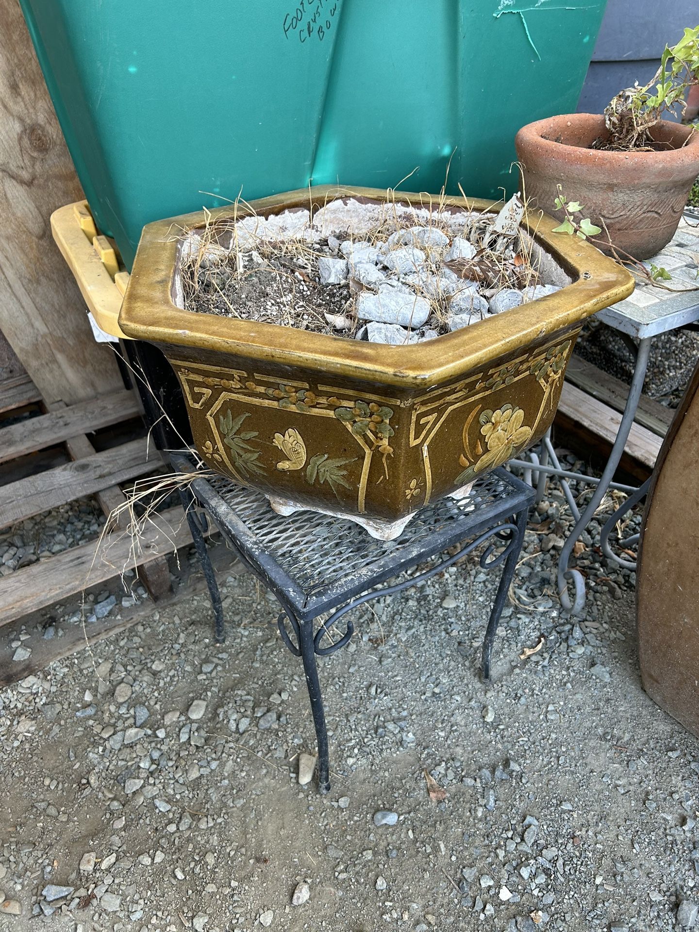 Plants all different prices